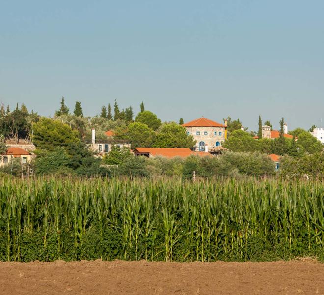 Akontisma Village 2