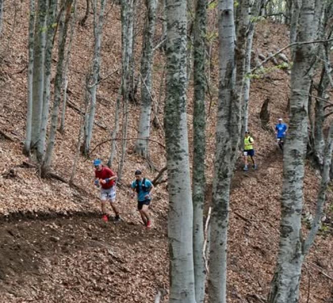 Pangaio Trail Run 1