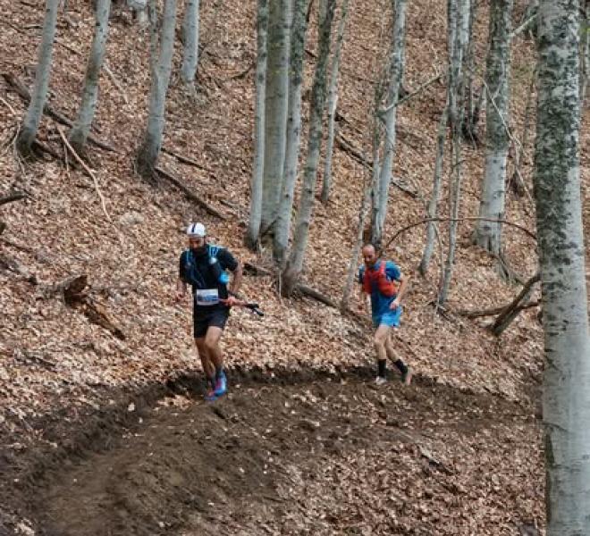 Pangaio Trail Run 3