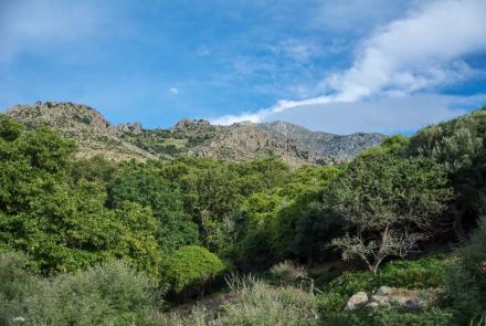 Mount Saos