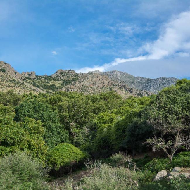 Mount Saos