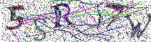 Resimli CAPTCHA